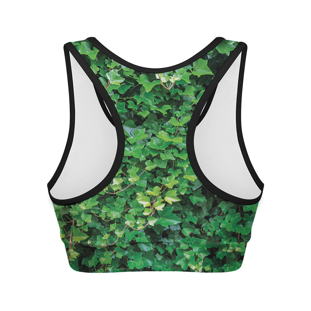 Green Ivy Wall Print Women's Sports Bra