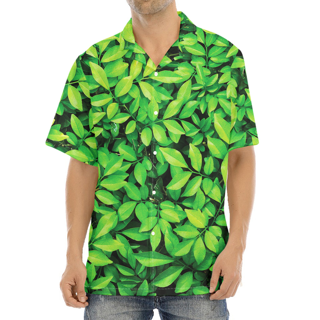 Green Leaf Print Aloha Shirt