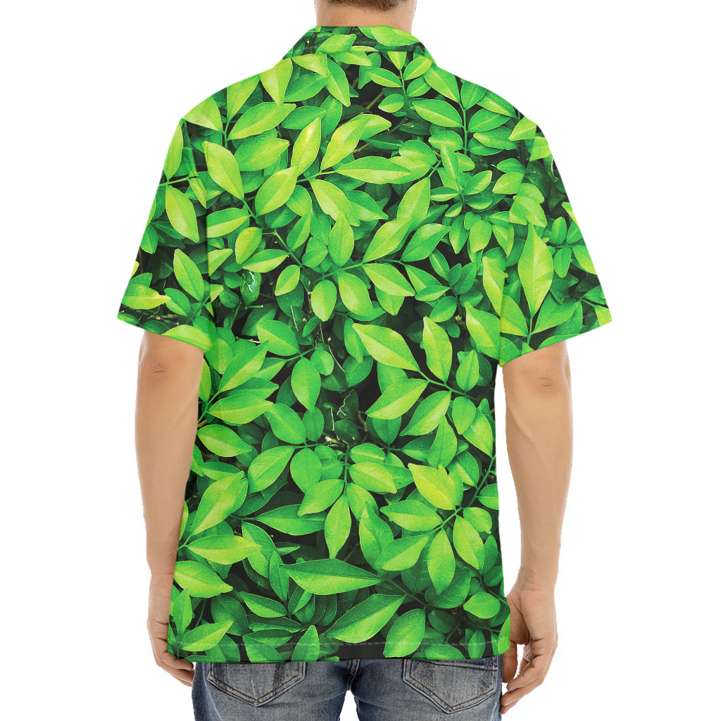 Green Leaf Print Aloha Shirt
