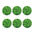 Green Leaf Print Coaster Set