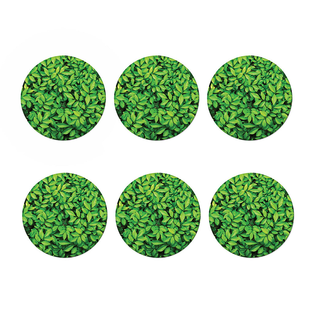 Green Leaf Print Coaster Set