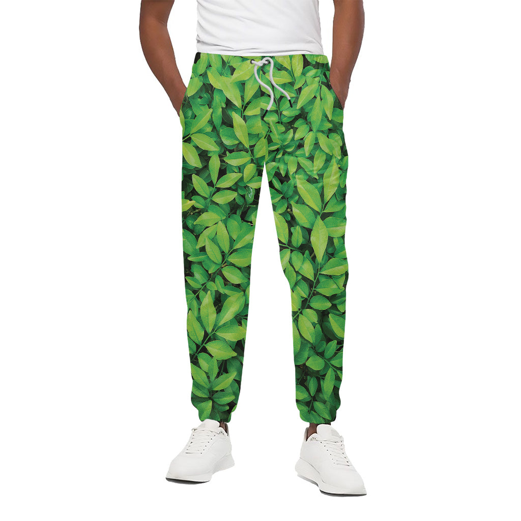 Green Leaf Print Cotton Pants