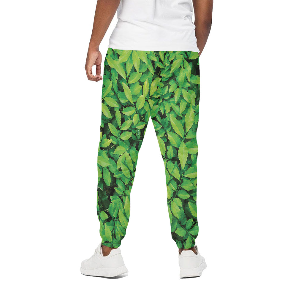 Green Leaf Print Cotton Pants