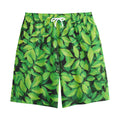 Green Leaf Print Cotton Shorts