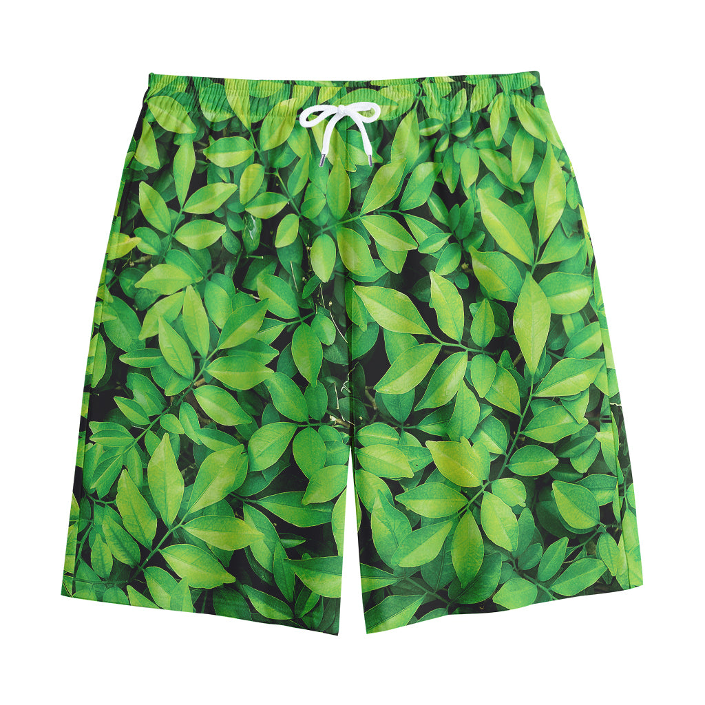 Green Leaf Print Cotton Shorts