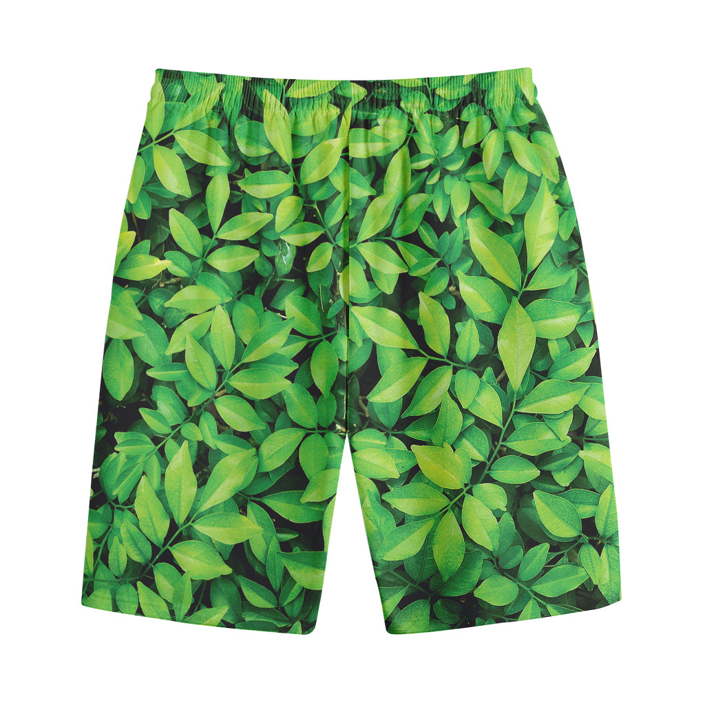 Green Leaf Print Cotton Shorts