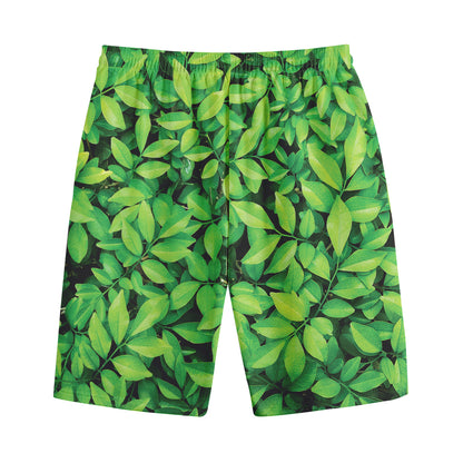 Green Leaf Print Cotton Shorts