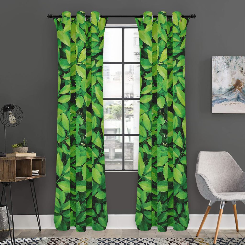 Green Leaf Print Curtain