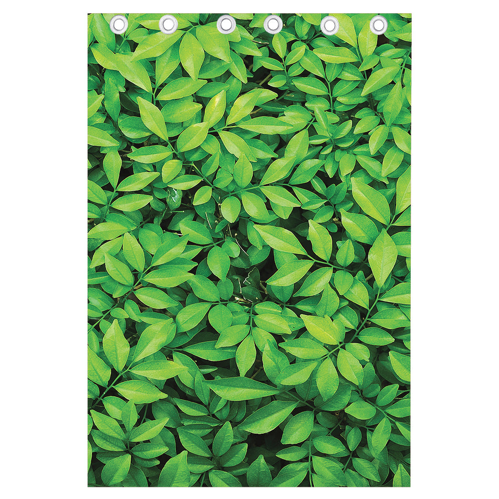 Green Leaf Print Curtain