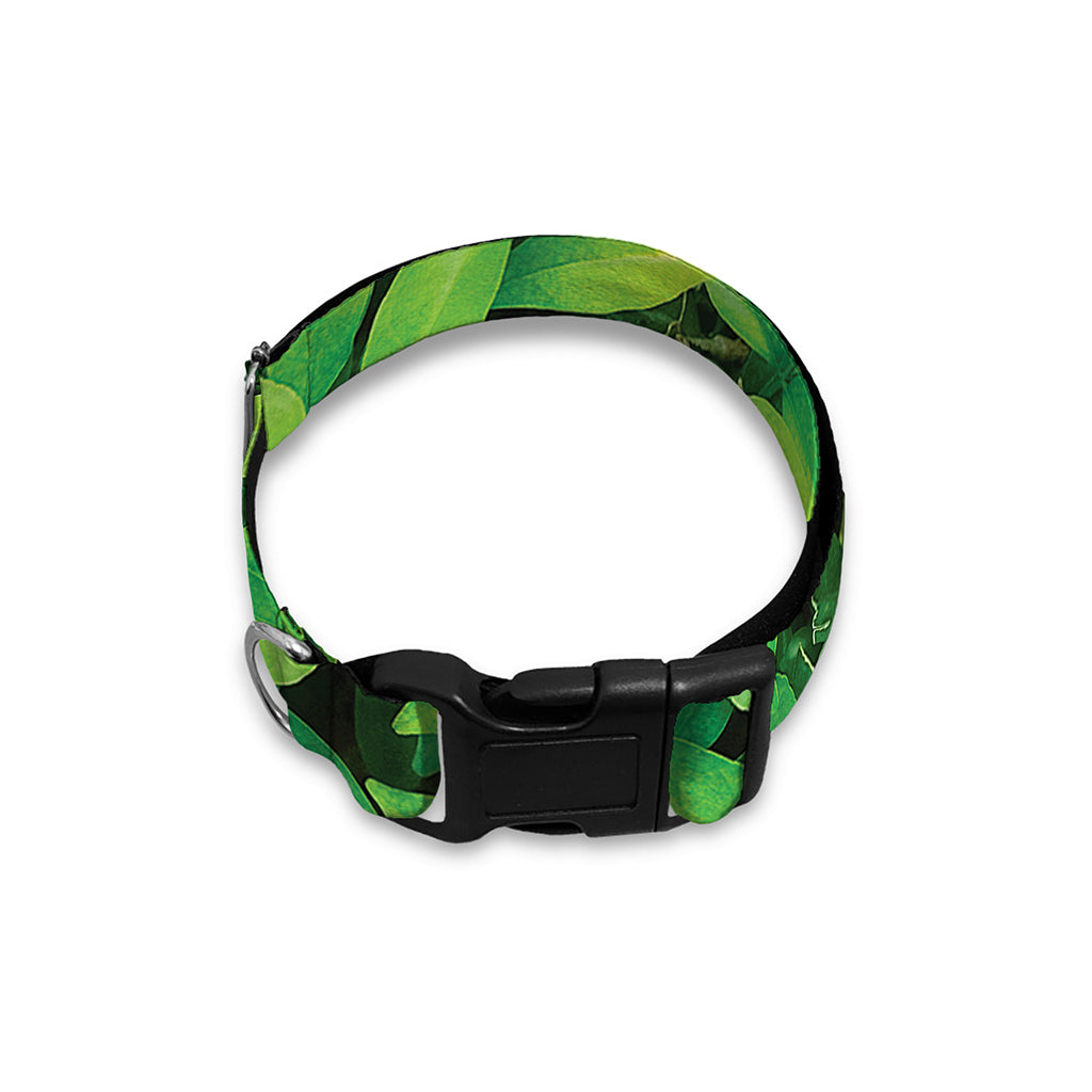 Green Leaf Print Dog Collar