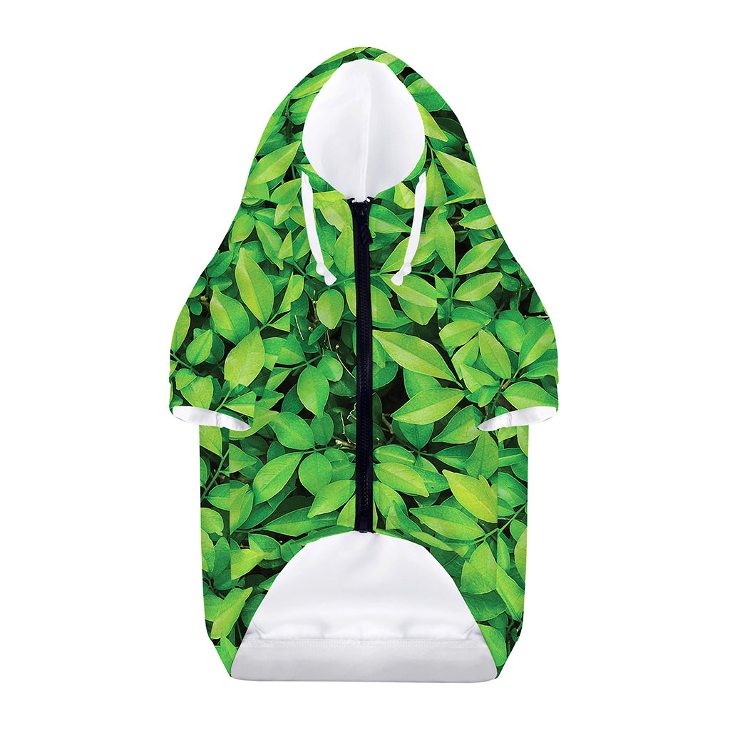 Green Leaf Print Dog Zip Up Hoodie