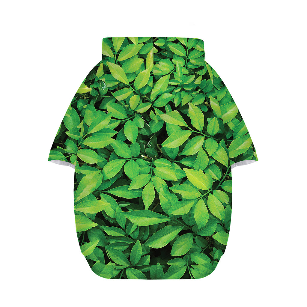 Green Leaf Print Dog Zip Up Hoodie