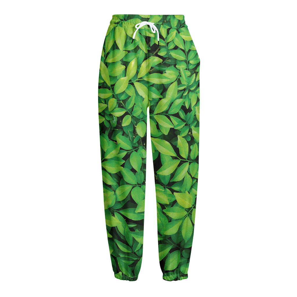 Green Leaf Print Fleece Lined Knit Pants