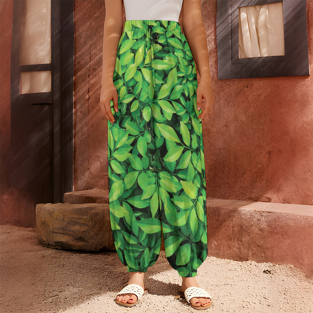 Green Leaf Print Harem Pants