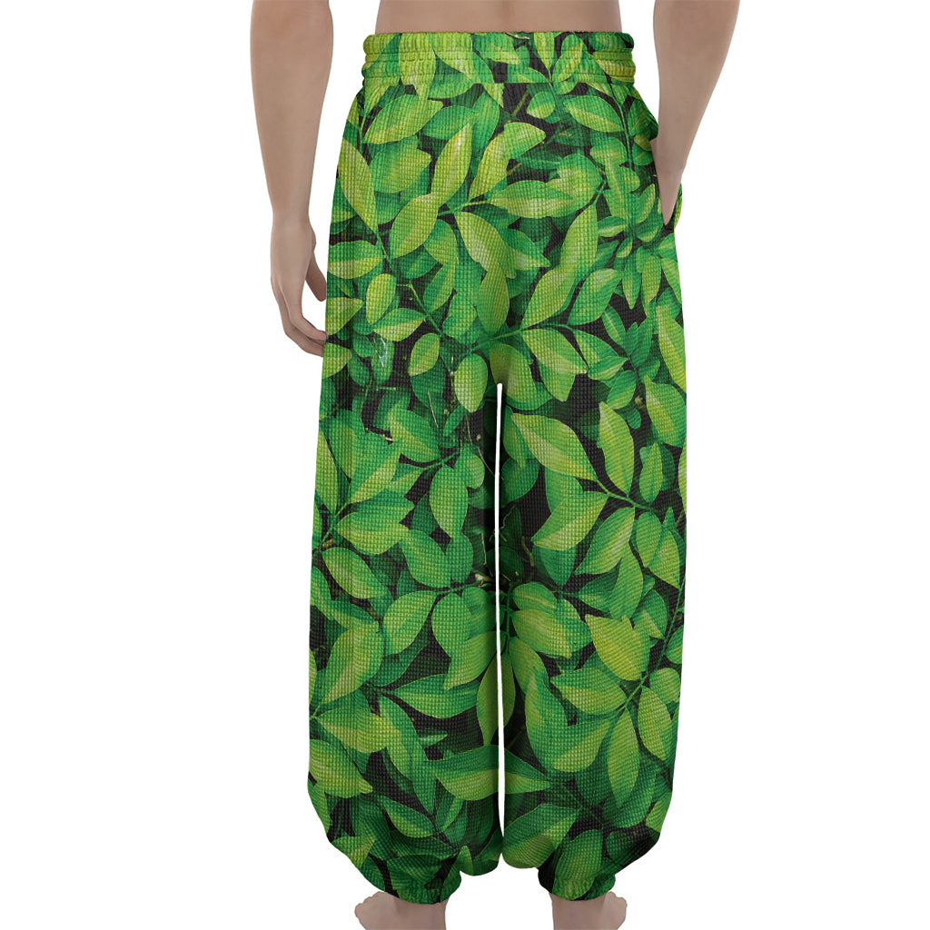 Green Leaf Print Lantern Pants