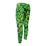 Green Leaf Print Men's Compression Pants