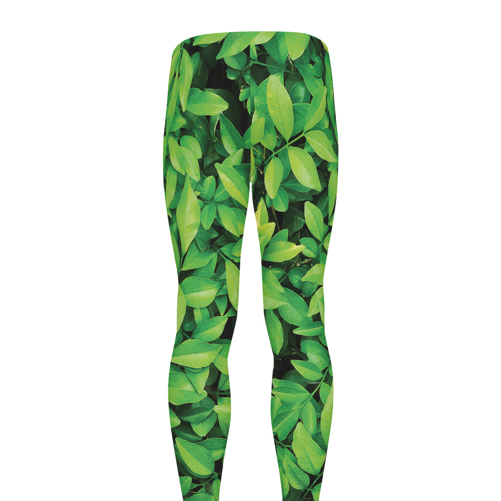 Green Leaf Print Men's leggings