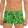 Green Leaf Print Men's Short Boxer Briefs