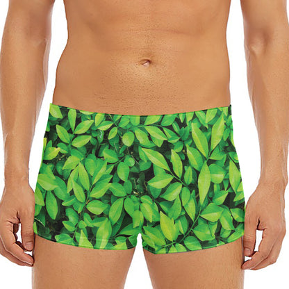 Green Leaf Print Men's Short Boxer Briefs