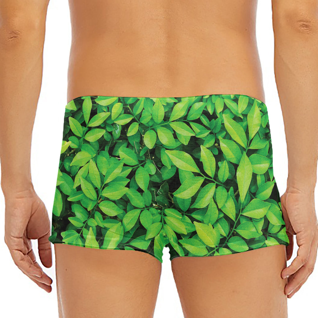 Green Leaf Print Men's Short Boxer Briefs