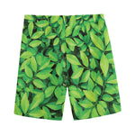 Green Leaf Print Men's Sports Shorts