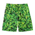 Green Leaf Print Men's Swim Trunks