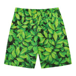 Green Leaf Print Men's Swim Trunks
