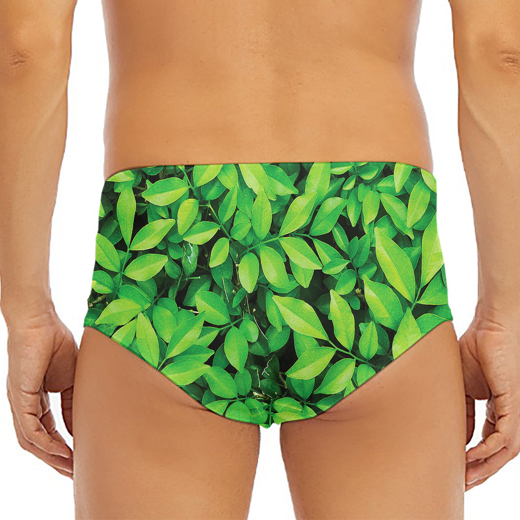 Green Leaf Print Men's Triangle Swim Briefs