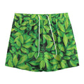 Green Leaf Print Mesh Shorts