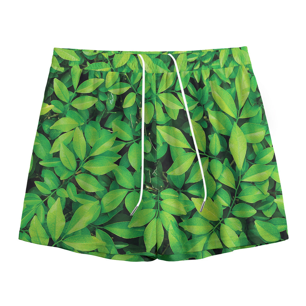 Green Leaf Print Mesh Shorts