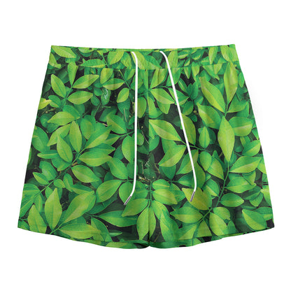 Green Leaf Print Mesh Shorts