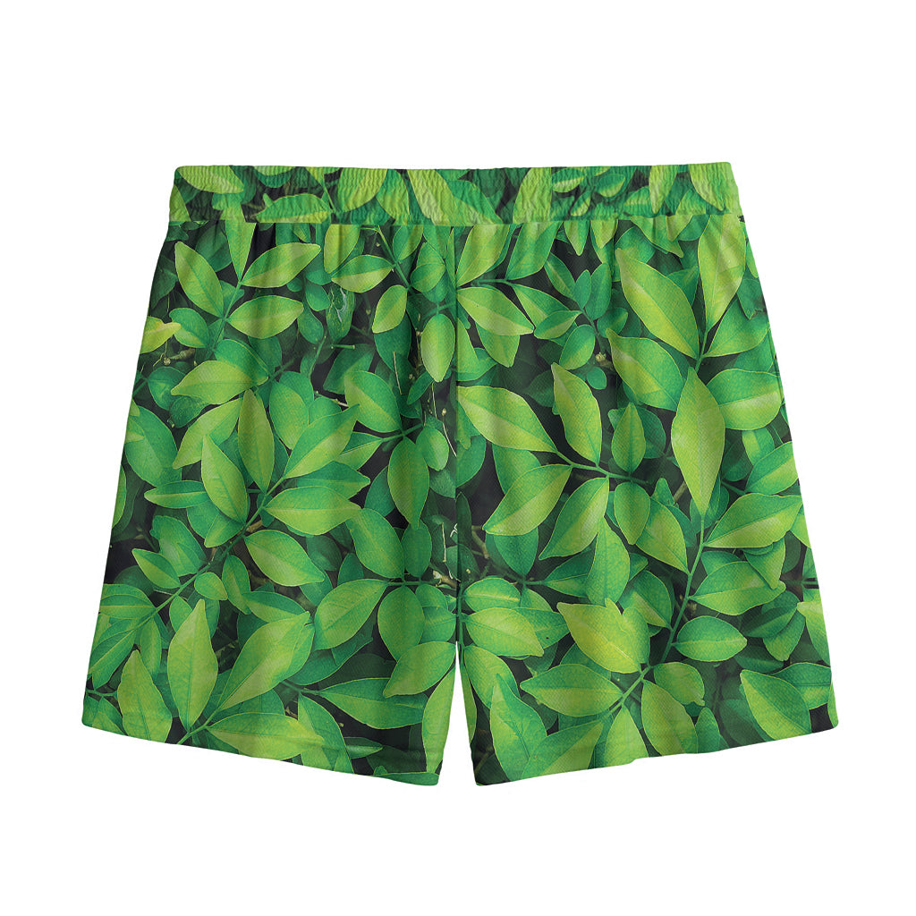 Green Leaf Print Mesh Shorts