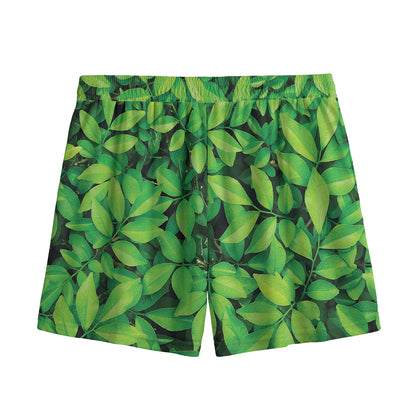 Green Leaf Print Mesh Shorts