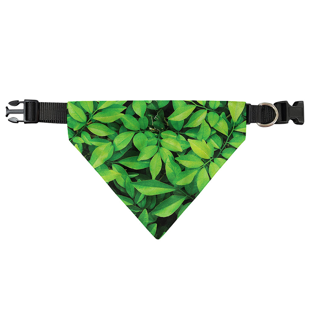 Green Leaf Print Over The Collar Dog Bandana