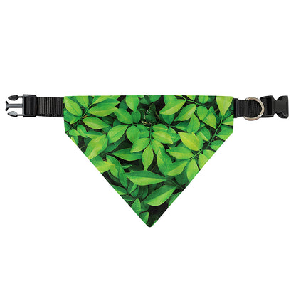 Green Leaf Print Over The Collar Dog Bandana