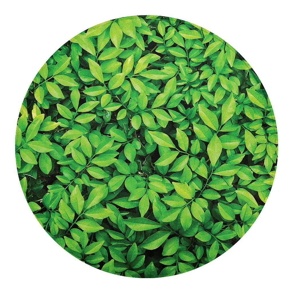 Green Leaf Print Round Blanket