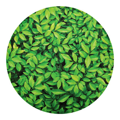 Green Leaf Print Round Blanket