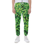 Green Leaf Print Scuba Joggers