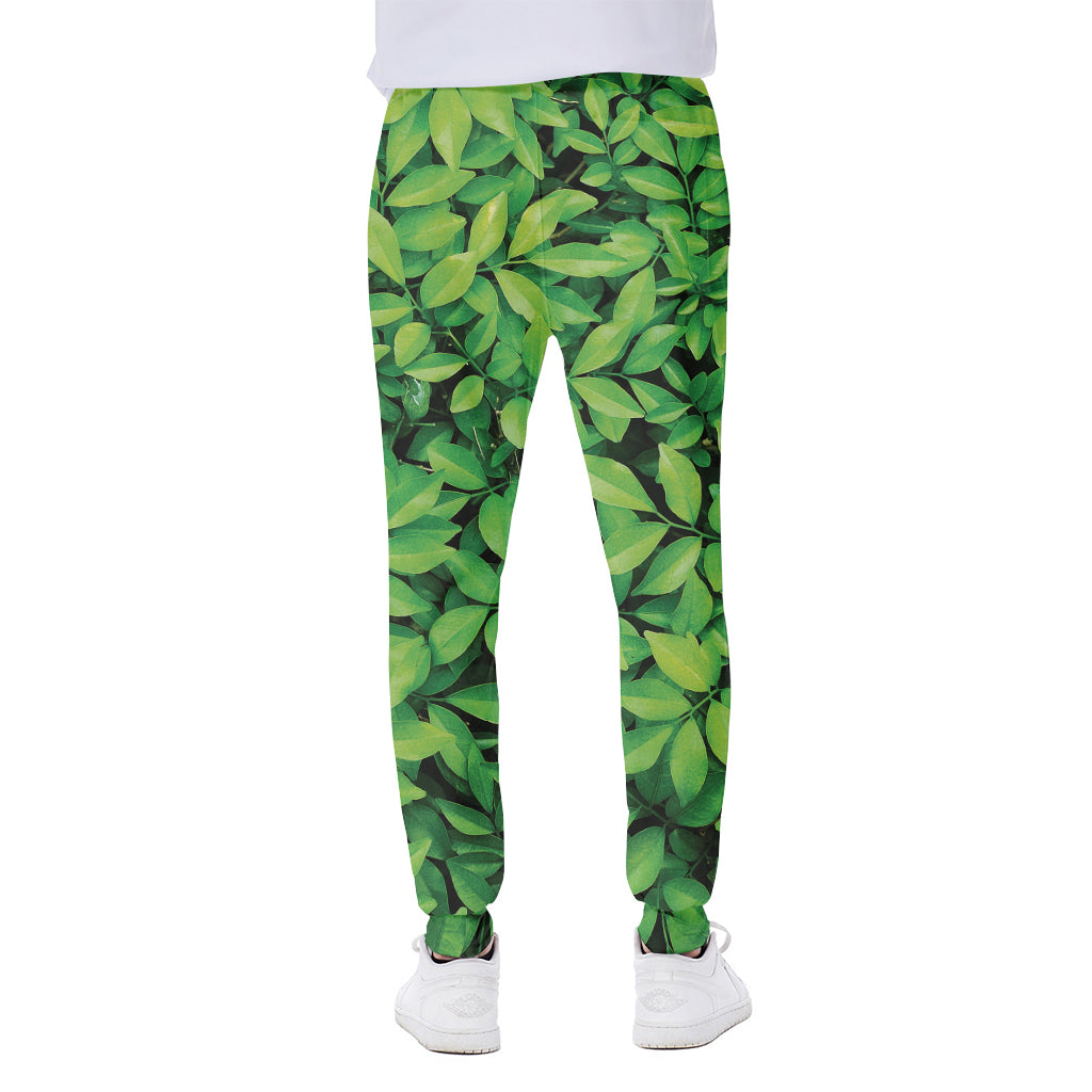 Green Leaf Print Scuba Joggers