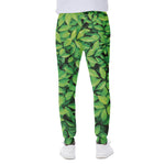 Green Leaf Print Scuba Joggers