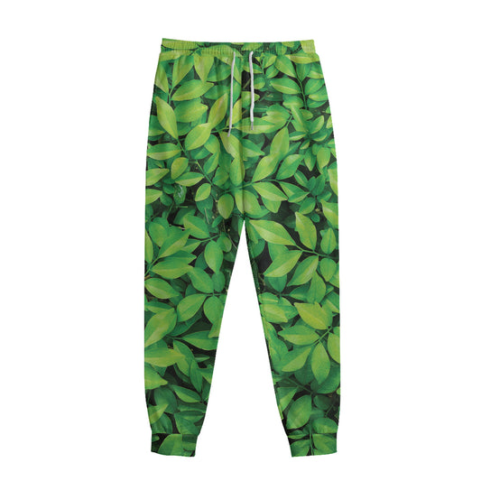 Green Leaf Print Sweatpants