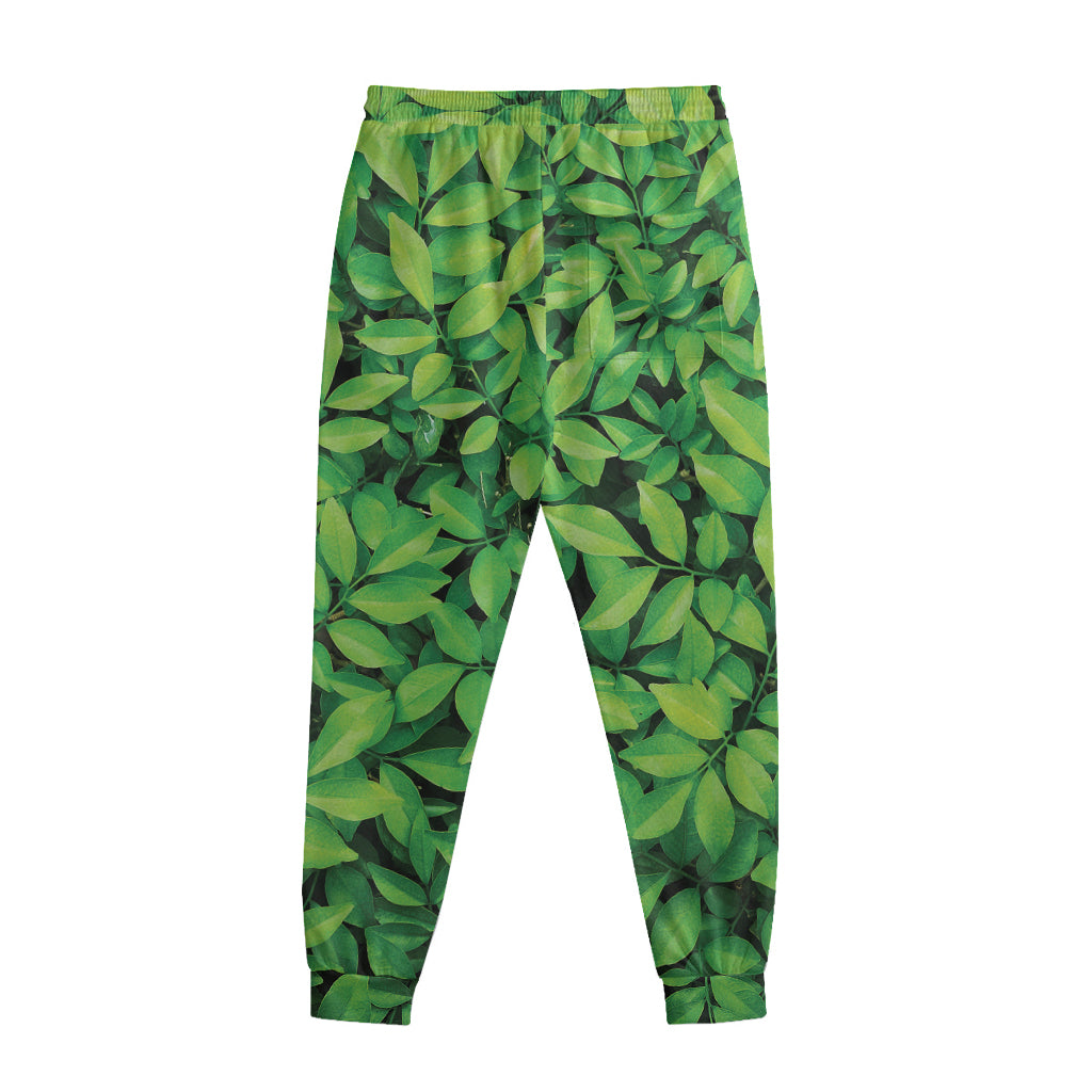 Green Leaf Print Sweatpants