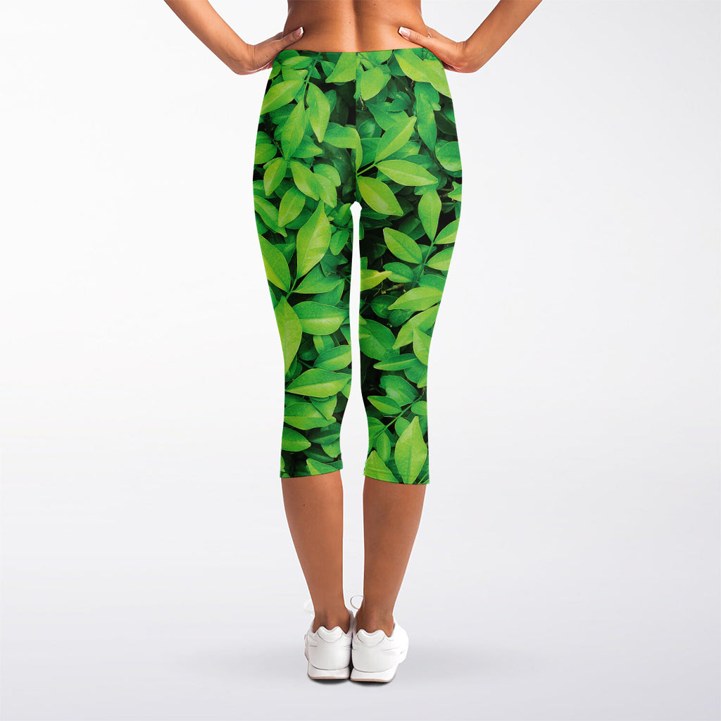 Green Leaf Print Women's Capri Leggings
