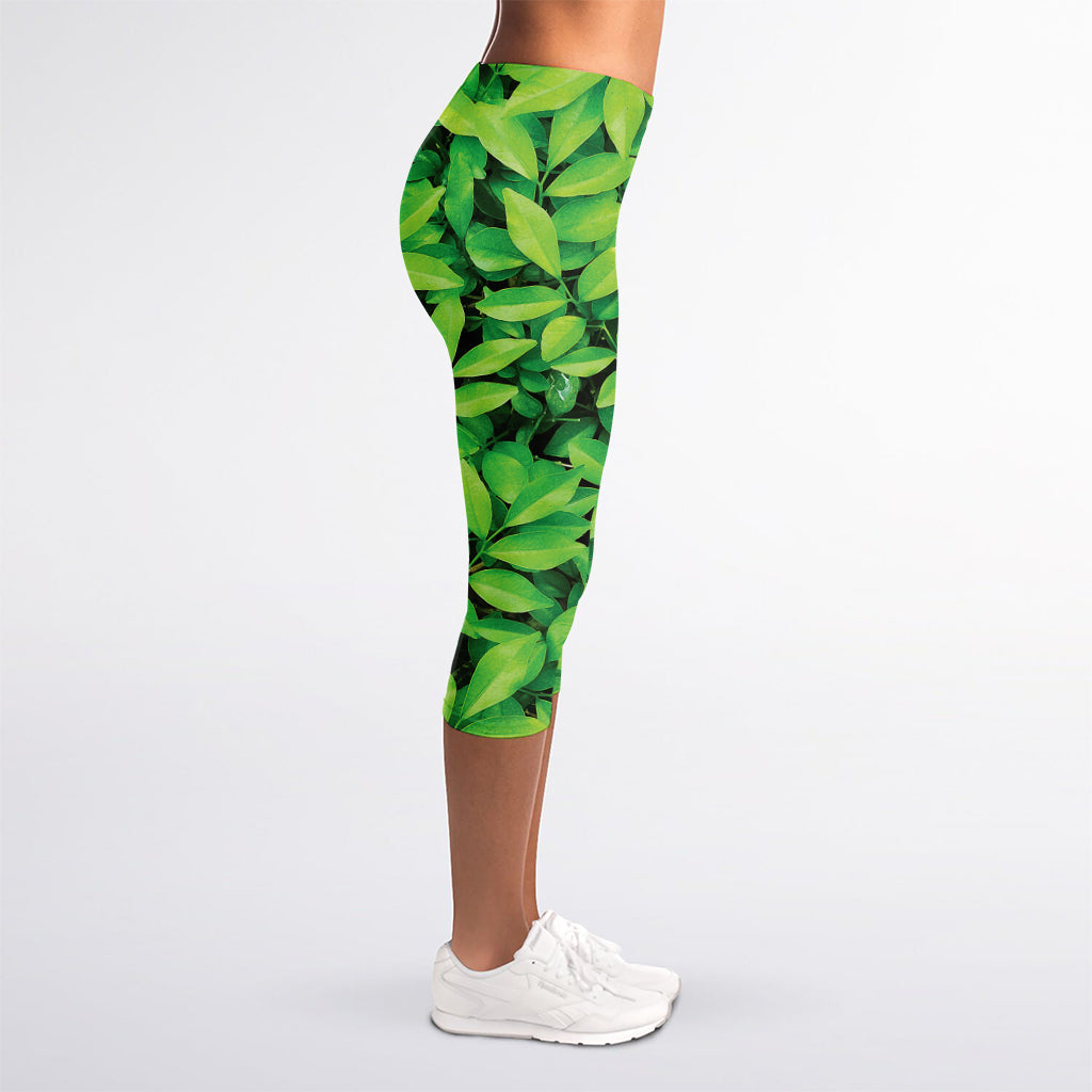 Green Leaf Print Women's Capri Leggings