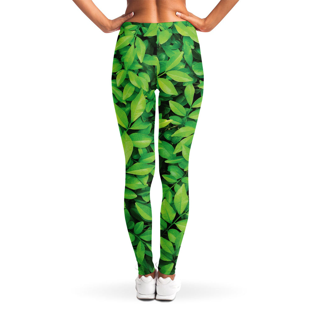 Green Leaf Print Women's Leggings