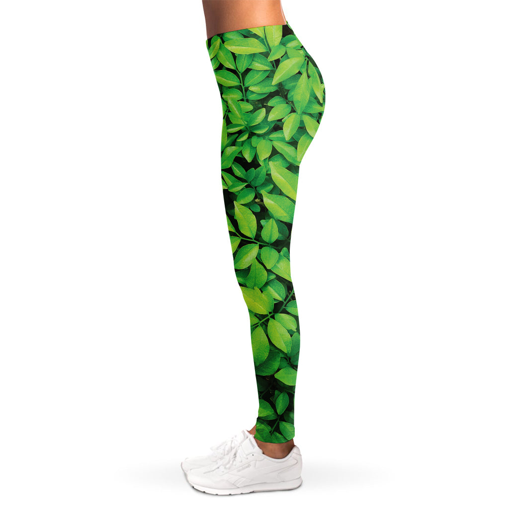 Green Leaf Print Women's Leggings