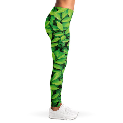 Green Leaf Print Women's Leggings