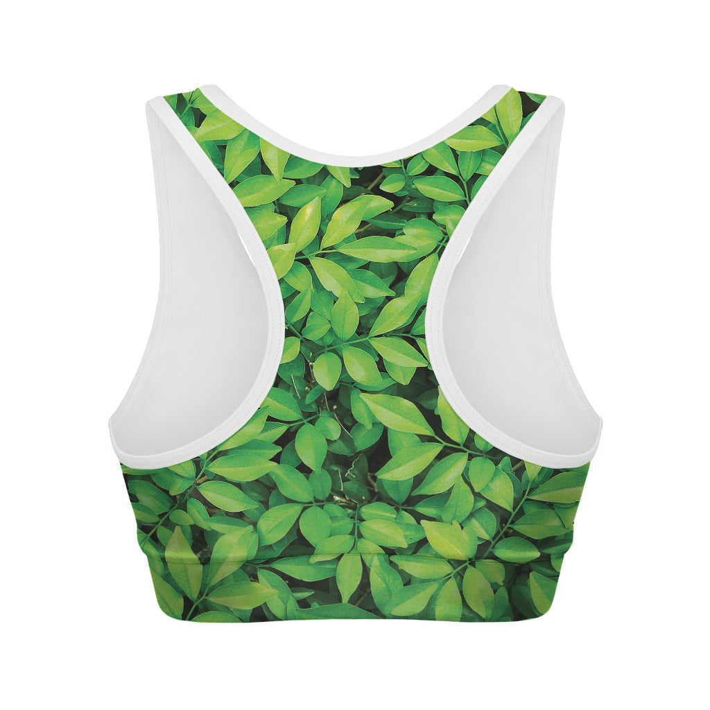 Green Leaf Print Women's Sports Bra