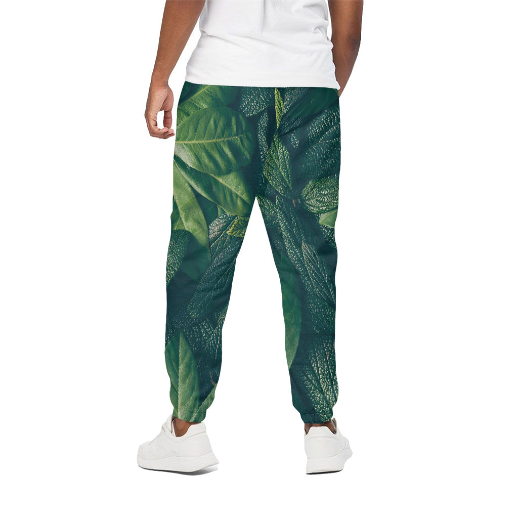Green Leaves Print Cotton Pants