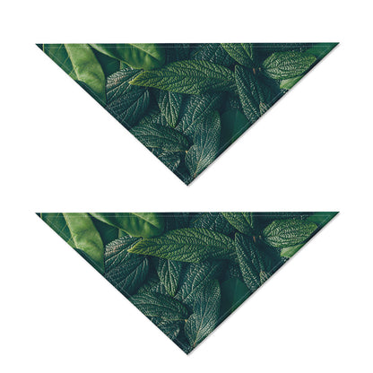 Green Leaves Print Dog Bandana